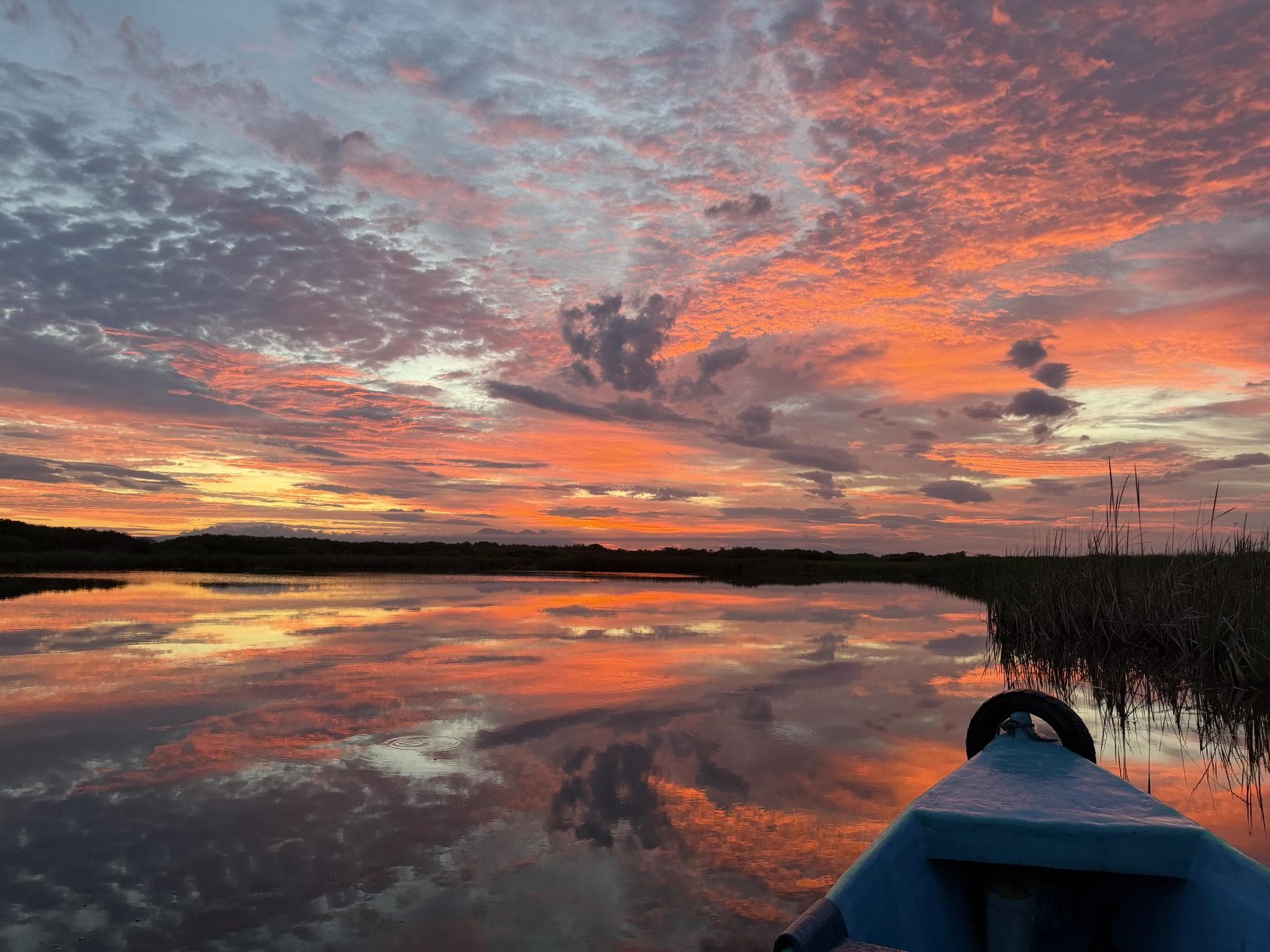 Amanecer en el manglar