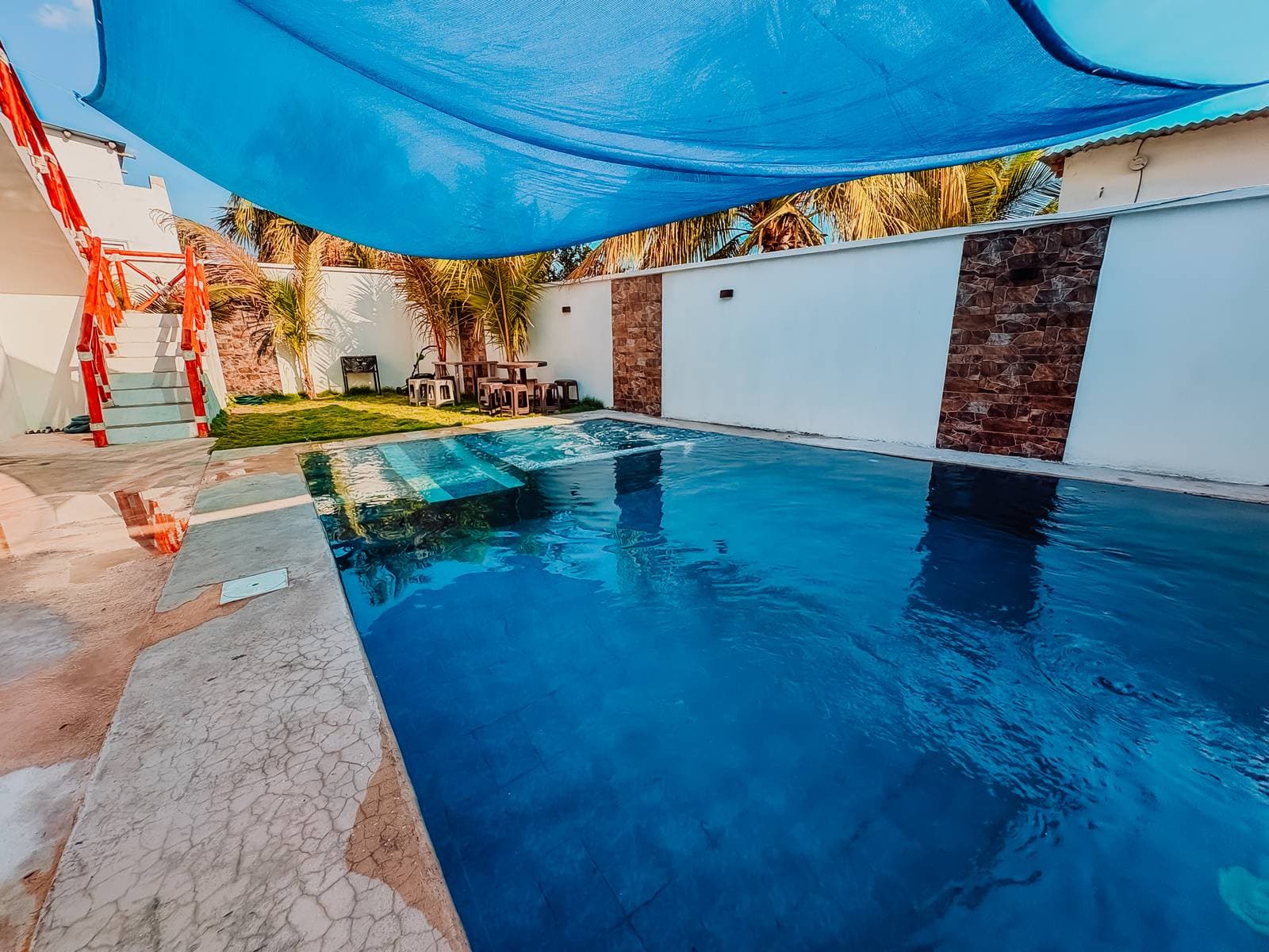 Planton House 2 — foto 4
