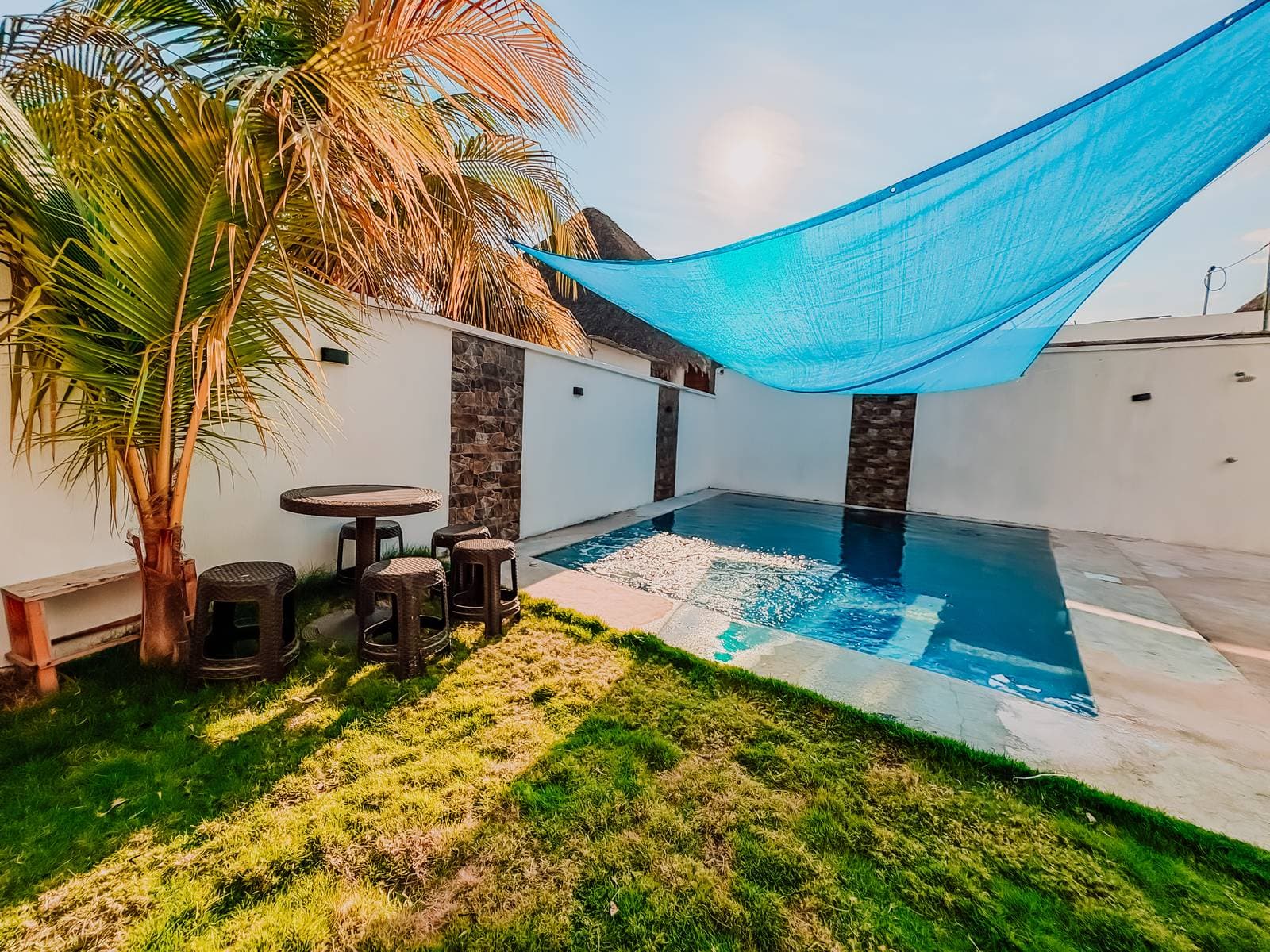 Planton House 2 — foto 5